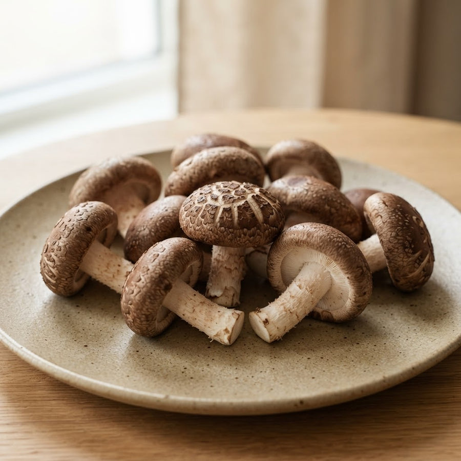 Shiitake