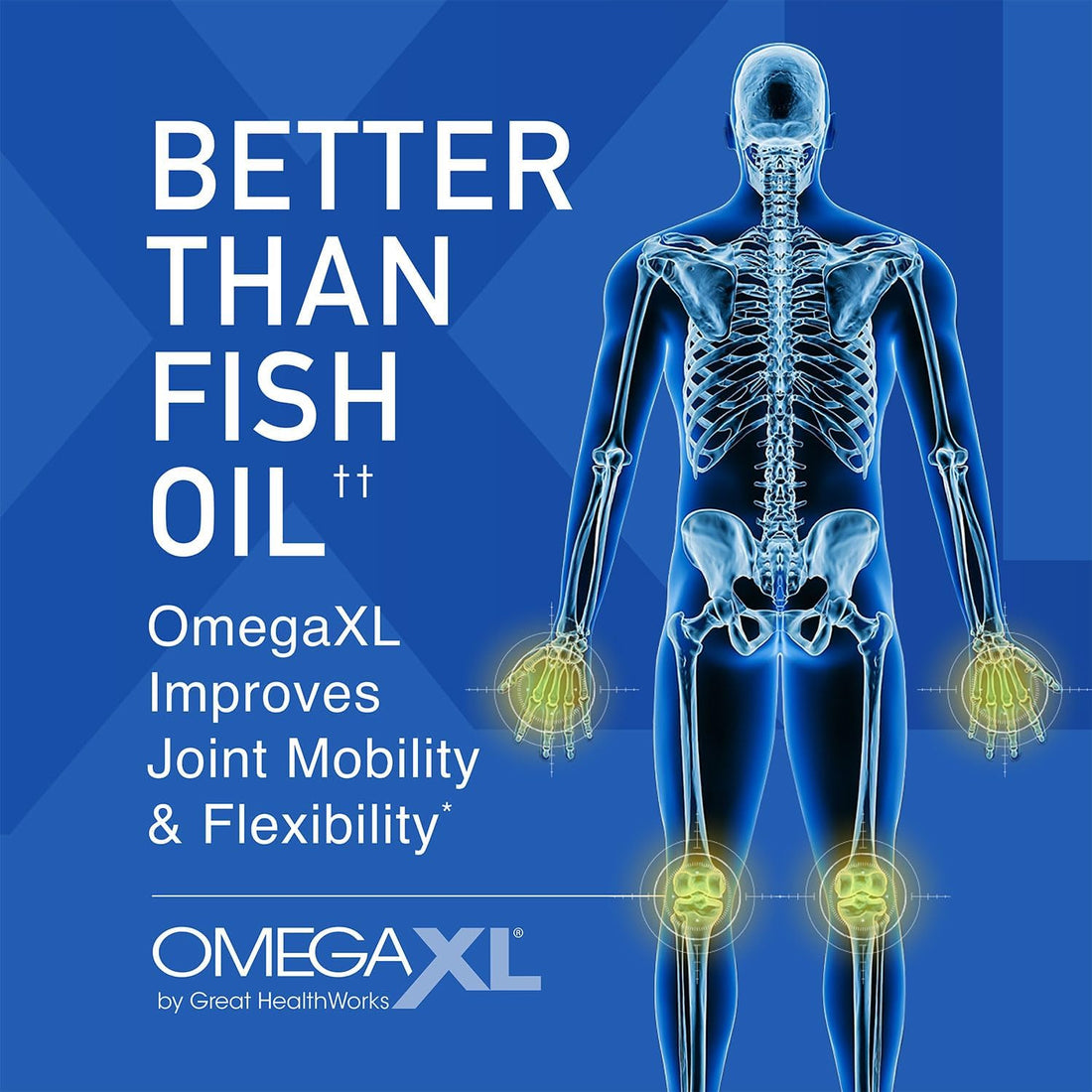 OmegaXL Joint Support Supplement - Natural Muscle & Joint Support with Green Lipped Mussel Oil, Drug-Free, 120 count