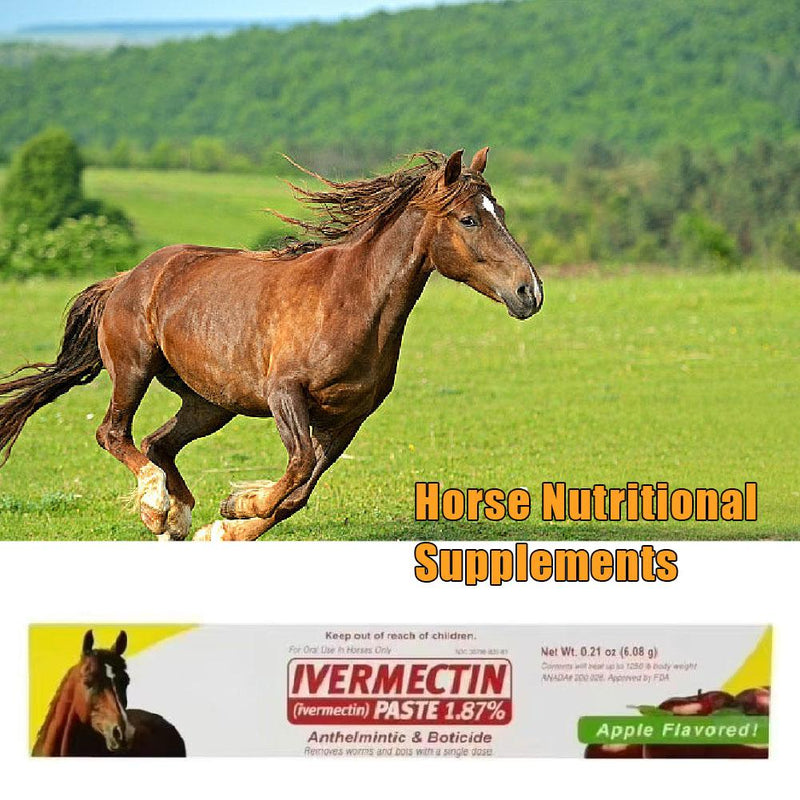 10X Paste Horse Dewormer - Apple Flavor Exp 12/2026 Anthelmintic & Boticide