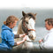 10X Paste Horse Dewormer - Apple Flavor Exp 12/2026 Anthelmintic & Boticide