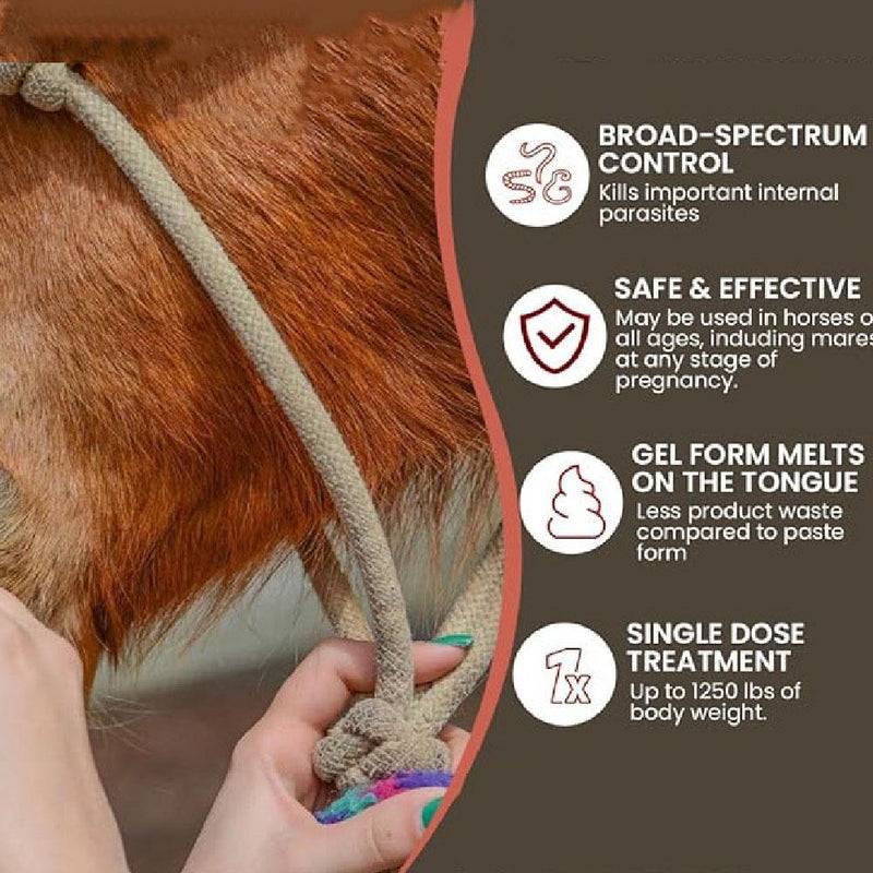 10X Paste Horse Dewormer - Apple Flavor Exp 12/2026 Anthelmintic & Boticide