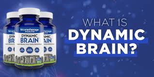 Stonehenge Health Dynamic Brain Supplement – Supports Memory, Focus & Clarity with 40 Nootropic Ingredients, Including Choline, Phosphatidylserine, Bacopa Monnieri, and Huperzine A